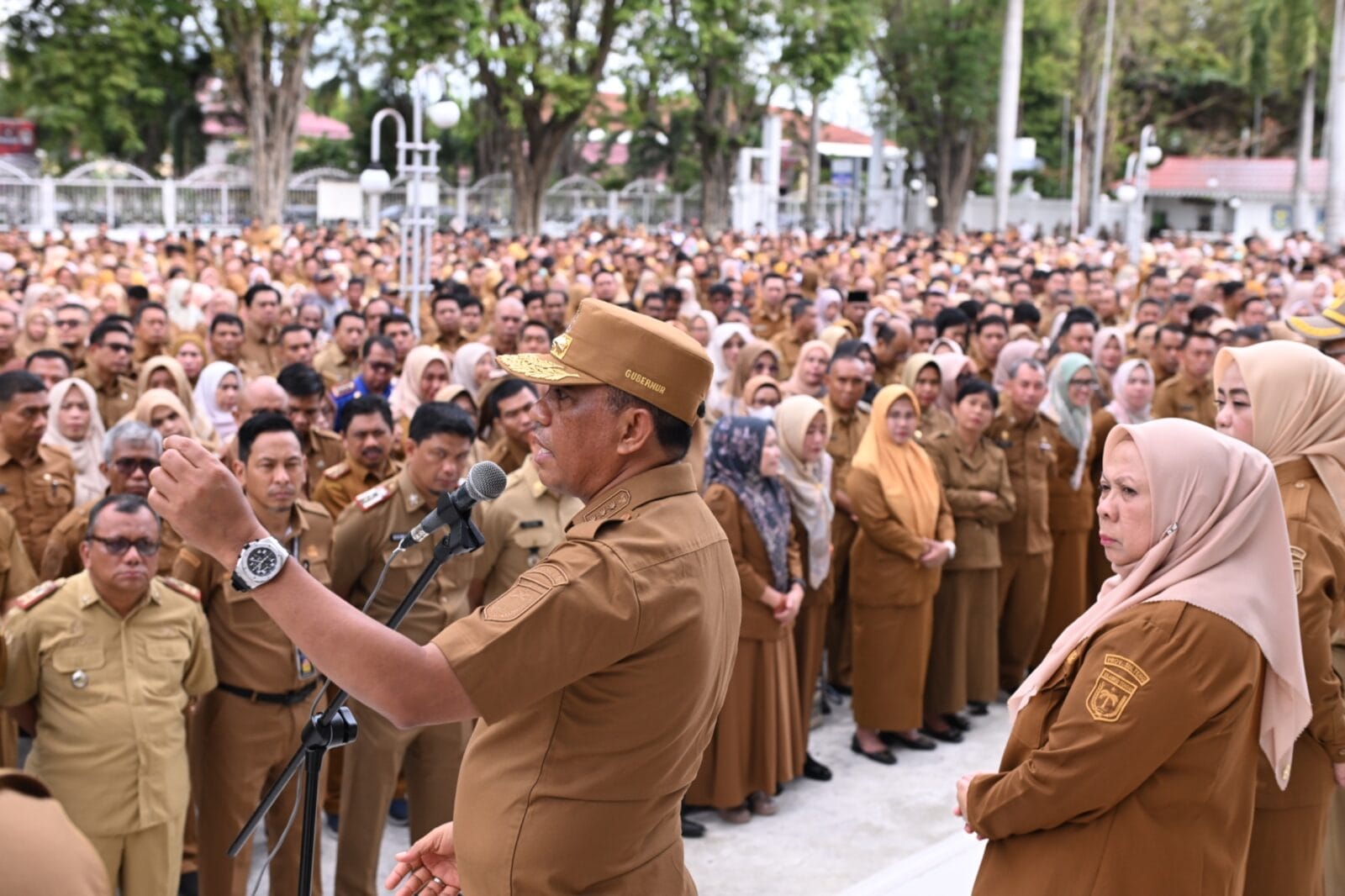 WhatsApp Image 2026 01 05 at 09.54.33