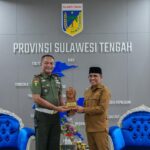 WhatsApp Image 2026 01 20 at 15.10.47 1